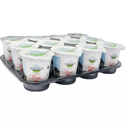 kilimanajro peach (100 ML CUPS x 12 )