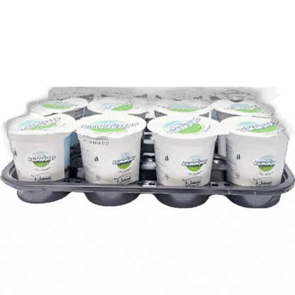 kilimanajro NATURAL YOGURT (150 ML CUPS x 12 )