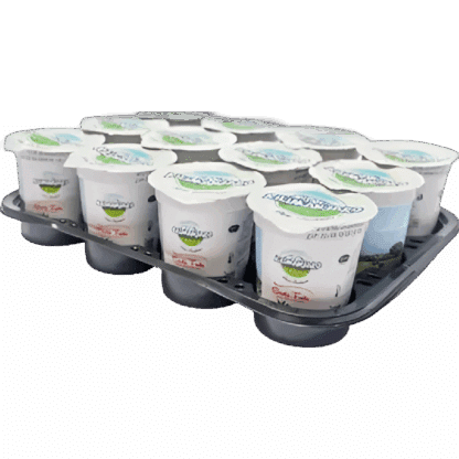 kilimanajro EXOTIC FRUITS (150 ML CUPS x 12 )