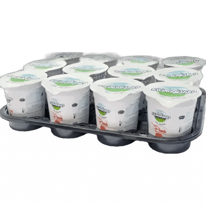 kilimanajro PEACH (150 ML CUPS x 12 )